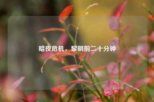 暗夜危机，黎明前二十分钟