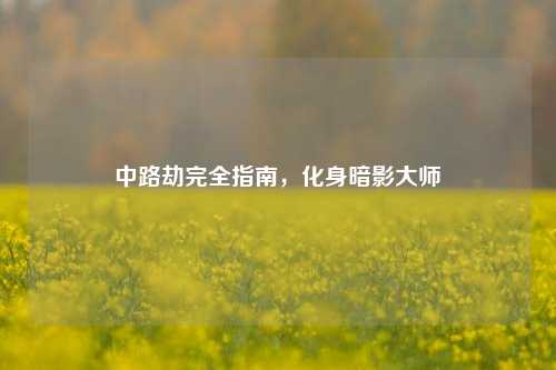 中路劫完全指南，化身暗影大师
