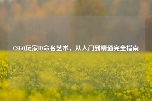 CSGO玩家ID命名艺术,从入门到精通完全指南