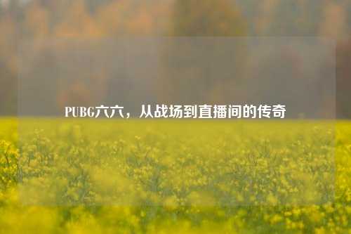 PUBG六六，从战场到直播间的传奇
