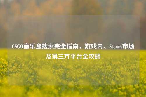 CSGO音乐盒搜索完全指南，游戏内、Steam市场及第三方平台全攻略