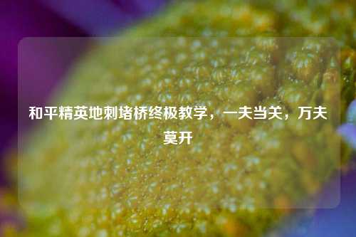 和平精英地刺堵桥终极教学，一夫当关，万夫莫开