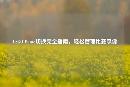 CSGO Demo切换完全指南，轻松管理比赛录像