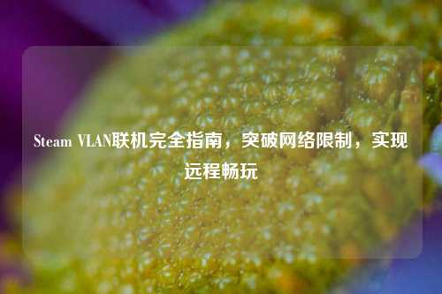 Steam VLAN联机完全指南，突破网络限制，实现远程畅玩