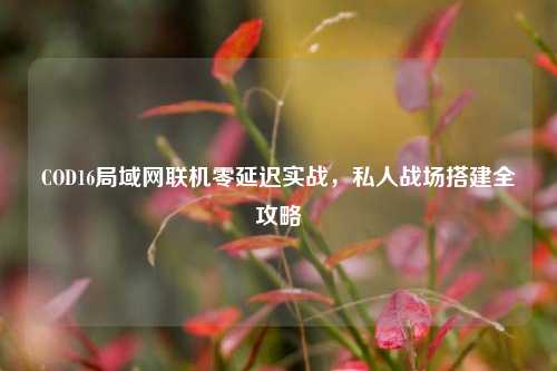 COD16局域网联机零延迟实战，私人战场搭建全攻略