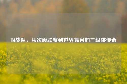 IM战队，从次级联赛到世界舞台的三级跳传奇