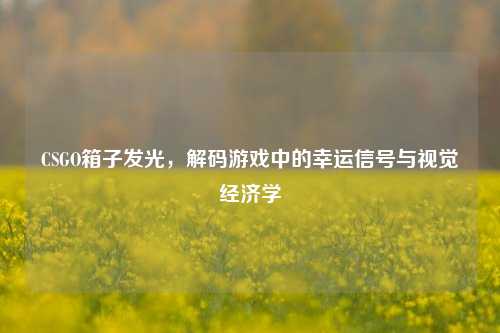 CSGO箱子发光，解码游戏中的幸运信号与视觉经济学