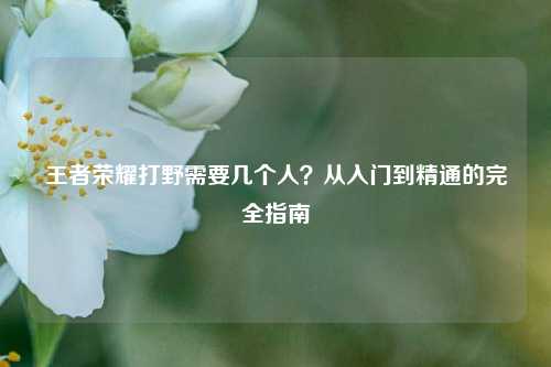 王者荣耀打野需要几个人？从入门到精通的完全指南
