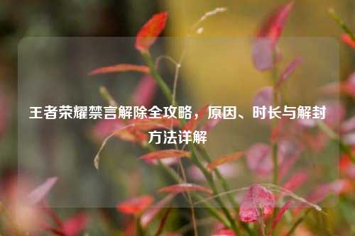 王者荣耀禁言解除全攻略，原因、时长与解封方法详解