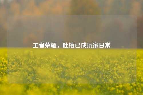 王者荣耀，吐槽已成玩家日常