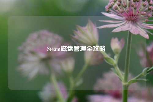 Steam磁盘管理全攻略