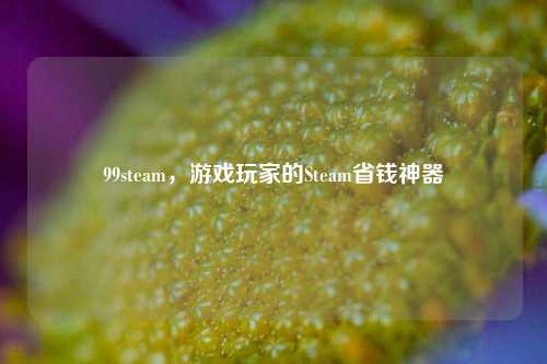99steam，游戏玩家的Steam省钱神器