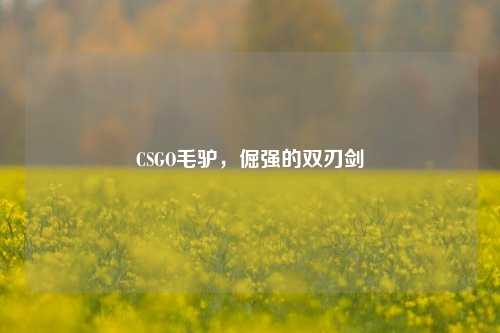 CSGO毛驴，倔强的双刃剑