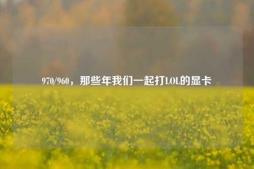 970/960，那些年我们一起打LOL的显卡