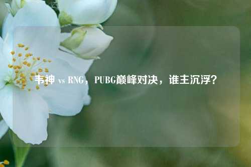 韦神 vs RNG，PUBG巅峰对决，谁主沉浮？