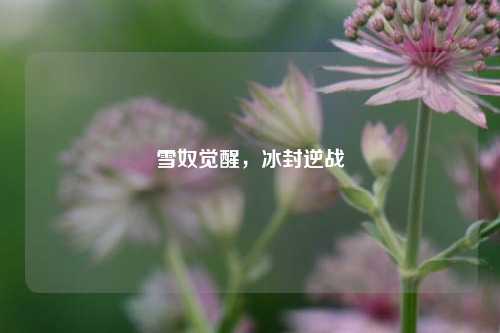 雪奴觉醒，冰封逆战