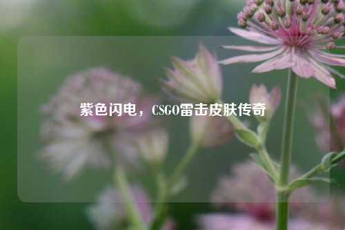 紫色闪电,CSGO雷击皮肤传奇
