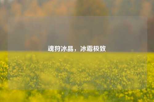 魂狩冰晶,冰霜极致