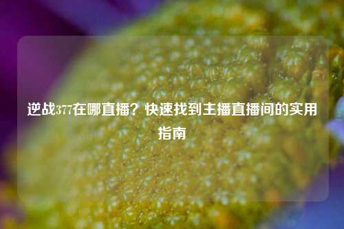 逆战377在哪直播？快速找到主播直播间的实用指南