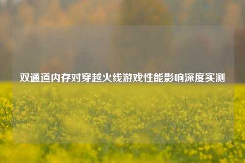 双通道内存对穿越火线游戏性能影响深度实测