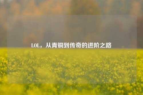 LOL，从青铜到传奇的进阶之路