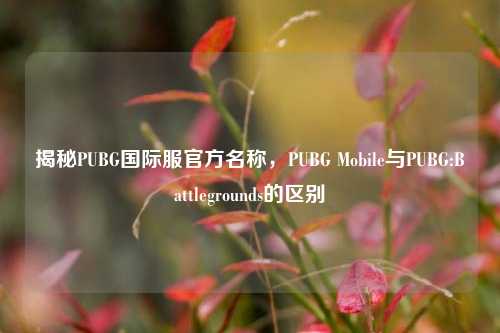 揭秘PUBG国际服官方名称,PUBG Mobile与PUBG:Battlegrounds的区别