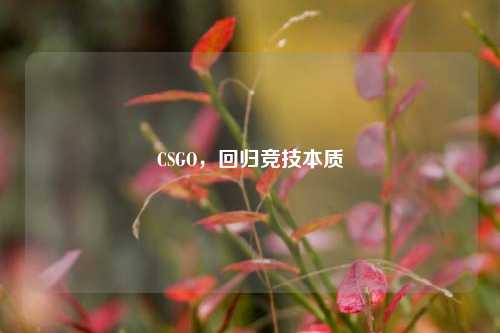 CSGO，回归竞技本质