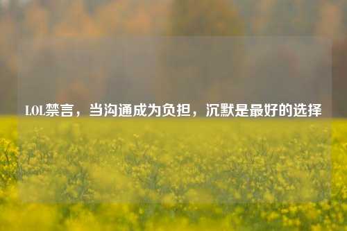LOL禁言，当沟通成为负担，沉默是最好的选择