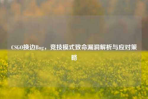 CSGO换边Bug，竞技模式致命漏洞解析与应对策略