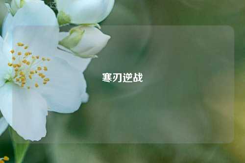 寒刃逆战
