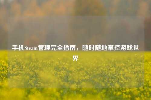 手机Steam管理完全指南，随时随地掌控游戏世界