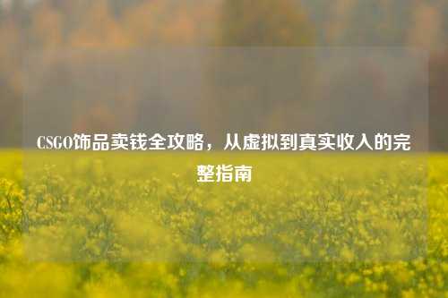 CSGO饰品卖钱全攻略,从虚拟到真实收入的完整指南