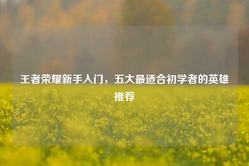王者荣耀新手入门，五大最适合初学者的英雄推荐