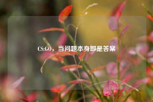 CS:GO，当问题本身即是答案