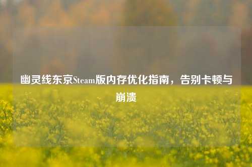 幽灵线东京Steam版内存优化指南，告别卡顿与崩溃