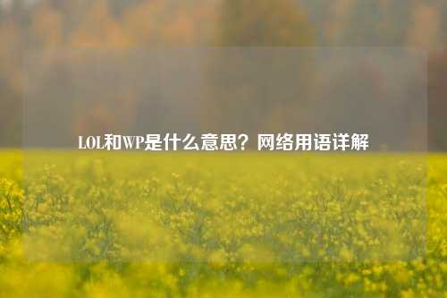 LOL和WP是什么意思?网络用语详解