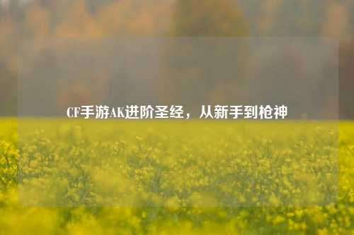CF手游AK进阶圣经，从新手到枪神