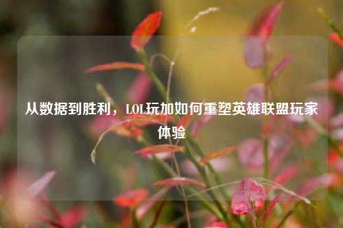 从数据到胜利，LOL玩加如何重塑英雄联盟玩家体验