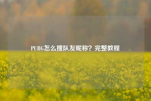 PUBG怎么搜队友昵称？完整教程