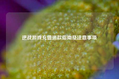 逆战游戏充值退款指南及注意事项