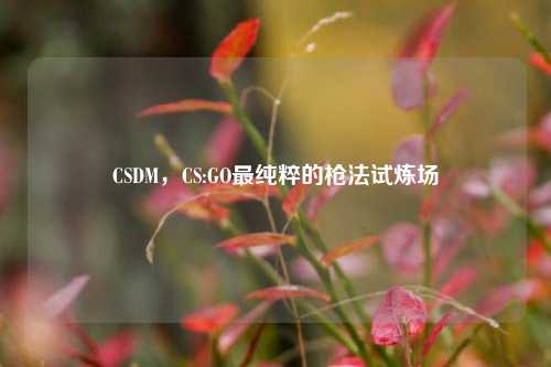 CSDM，CS:GO最纯粹的枪法试炼场