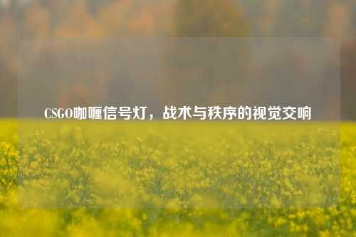 CSGO咖喱信号灯，战术与秩序的视觉交响
