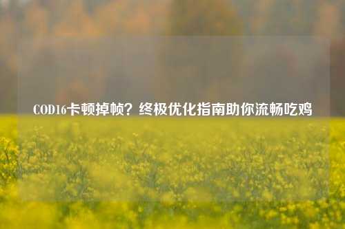 COD16卡顿掉帧？终极优化指南助你流畅吃鸡