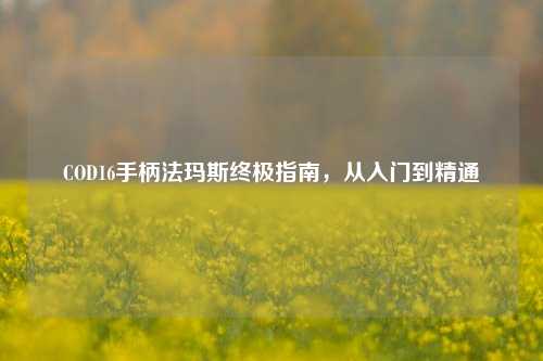 COD16手柄法玛斯终极指南，从入门到精通