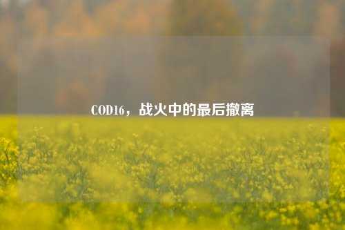 COD16，战火中的最后撤离