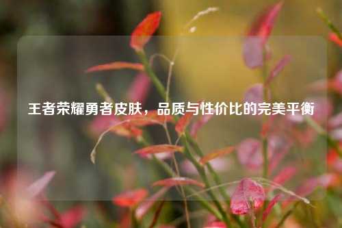 王者荣耀勇者皮肤,品质与性价比的完美平衡