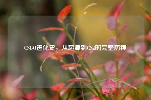 CSGO进化史，从起源到CS2的完整历程