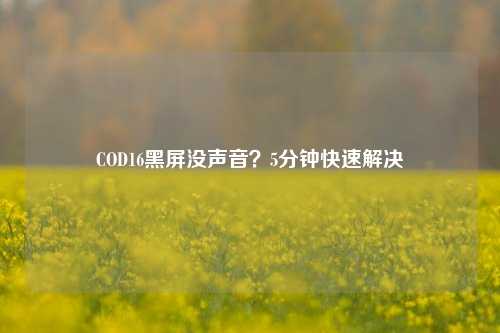 COD16黑屏没声音？5分钟快速解决