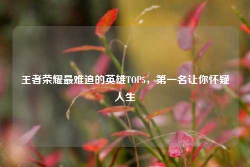 王者荣耀最难追的英雄TOP5，第一名让你怀疑人生