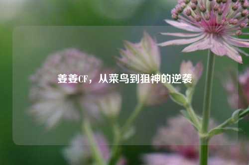 姜姜CF，从菜鸟到狙神的逆袭